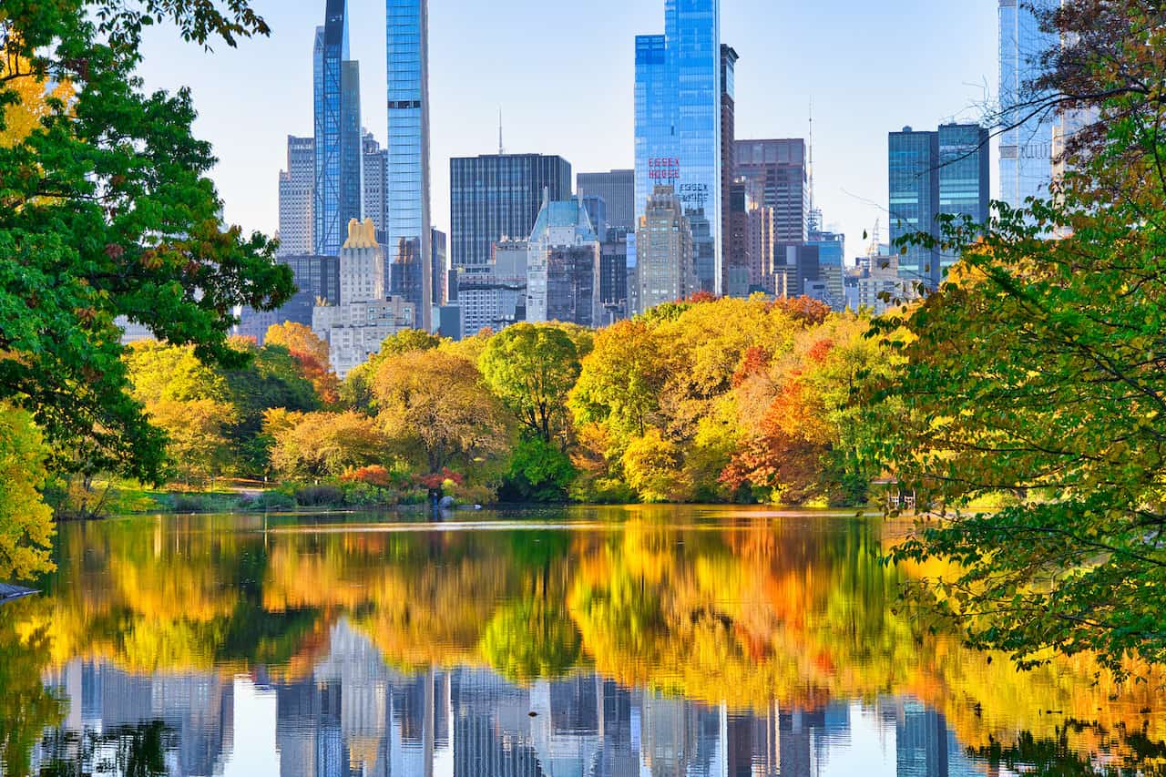 Central Park Fall Foliage 2022 12