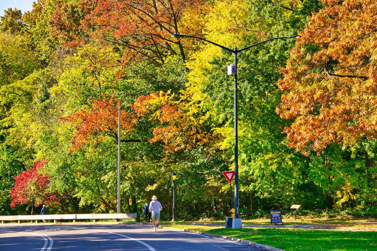 Central Park Fall Foliage 2022 2