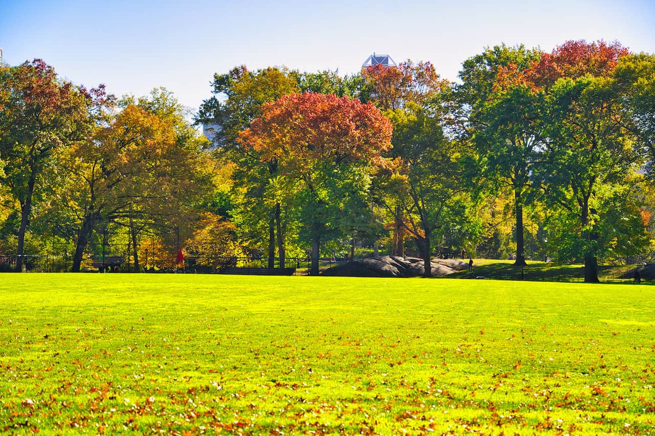 Central Park Fall Foliage 2022 4