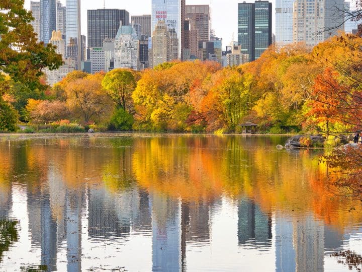 Central Park Fall Foliage Guide | Best Locations & Foliage Map