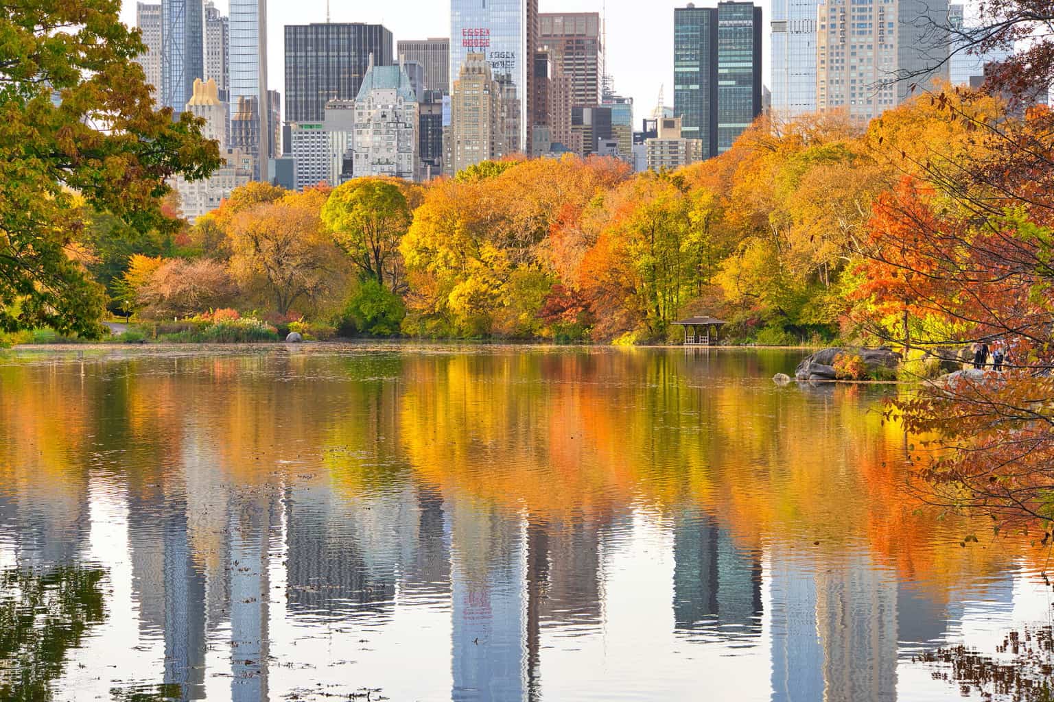 Central Park Fall Foliage Guide Best Locations & Foliage Map TripTins
