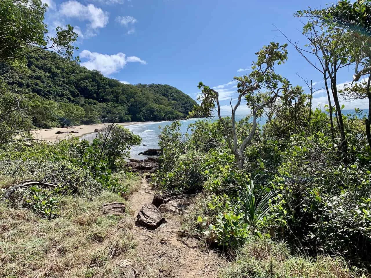 Daintree Rainforest Trails