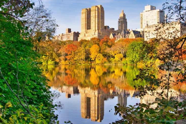 Central Park Fall Foliage Guide | 2023 Best Locations & Foliage Map