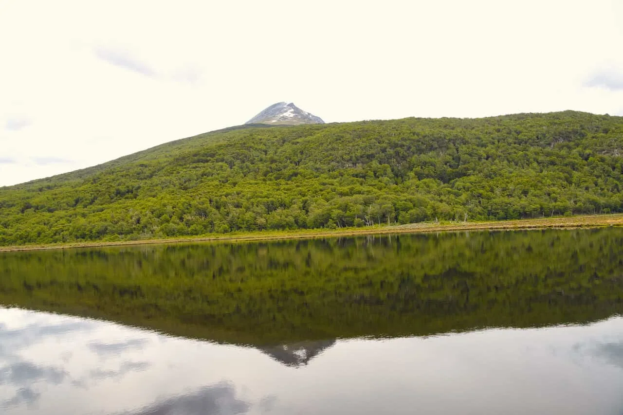 Laguna Negra Terra del Fuego