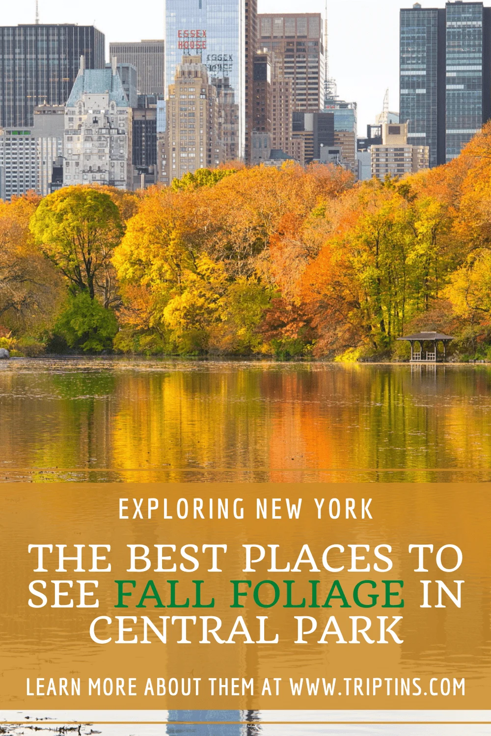 NYC Fall Foliage Central Park