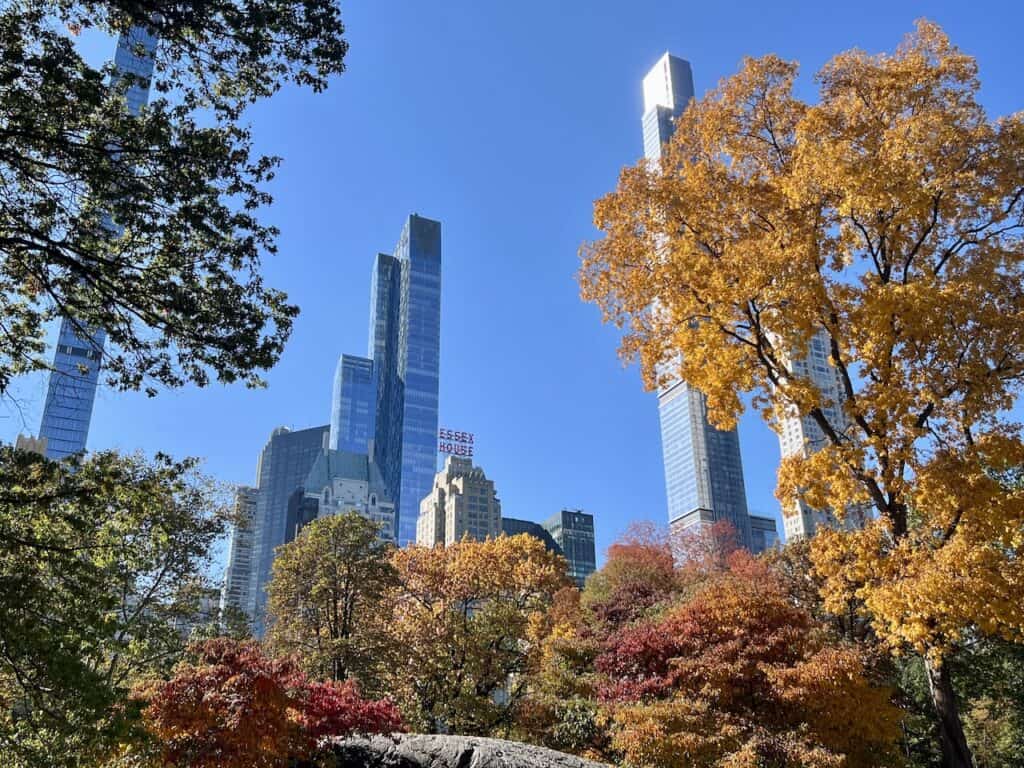 NYC Foliage 2023 Colors