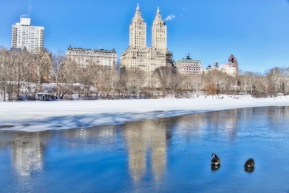 The Central Park Lake Complete Guide | Views, Boats, & Map | TripTins