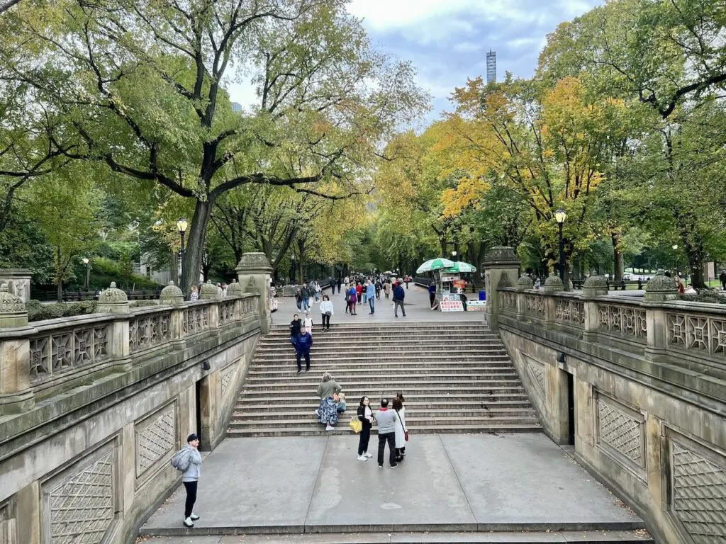 The Mall & Literary Walk Foliage 2023