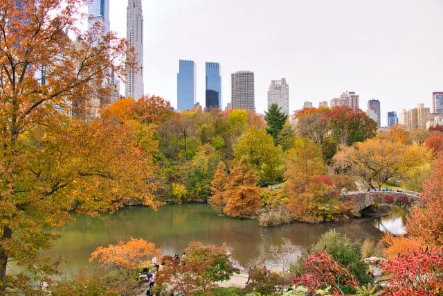Central Park Fall Foliage Guide | 2023 Best Locations & Foliage Map