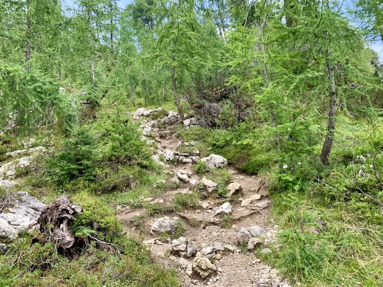 Trail to Slemenova Spica