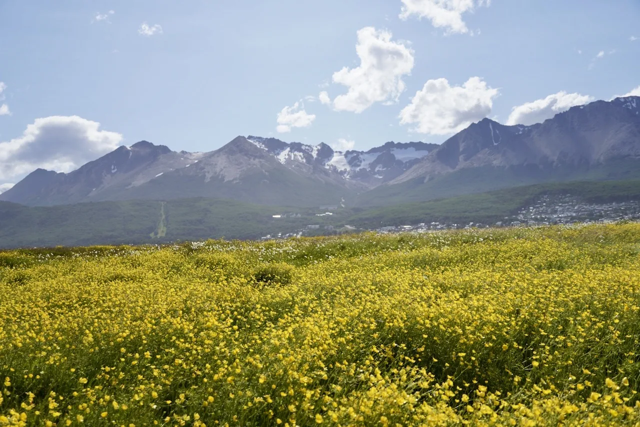 Bahia Encerrada Ushuaia