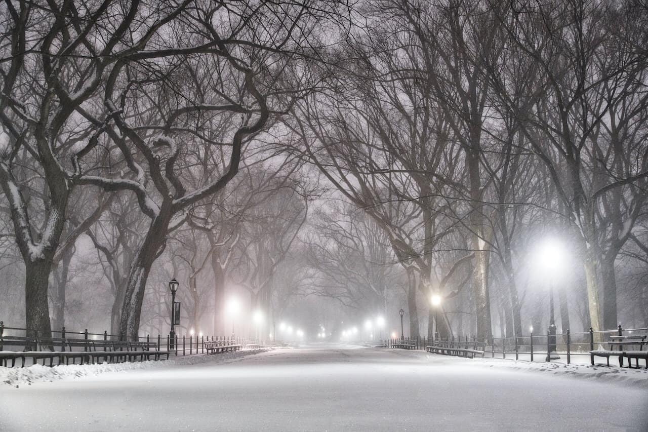 Central Park Winter Night