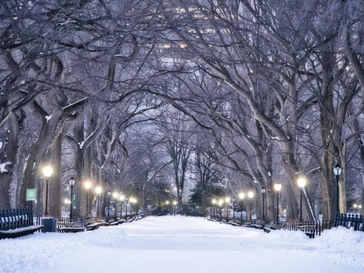 Central Park in Winter Guide | The Best Central Park Snow Day Spots