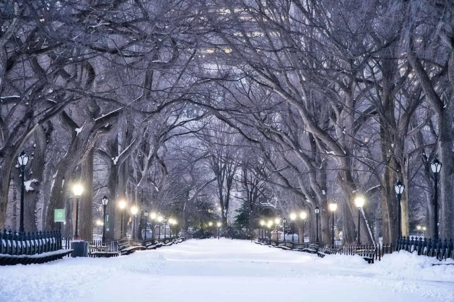 Central Park Winter Snow