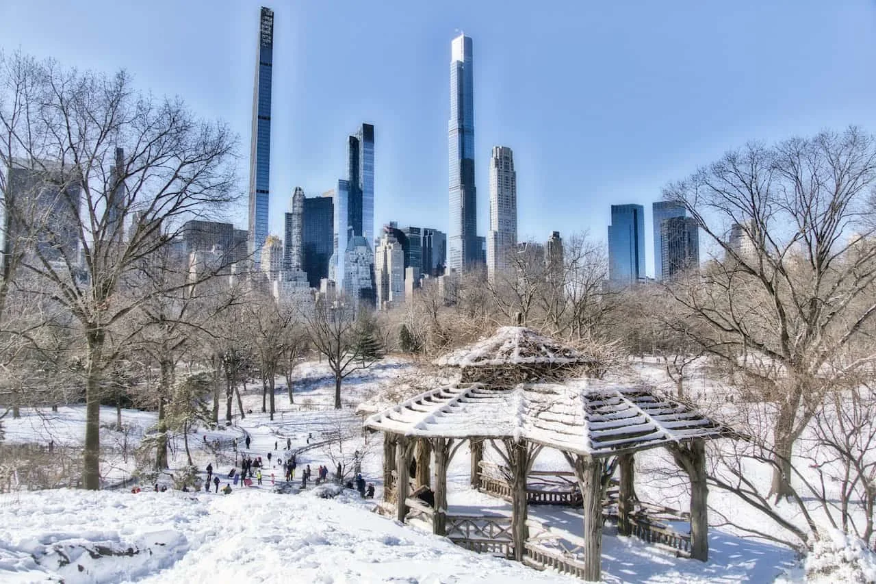 Central Park Winter Views