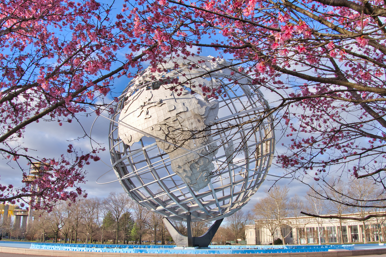 Flushing Meadows Park Cherry Blossoms
