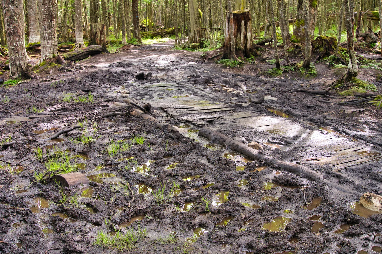 Laguna Esmeralda Mud