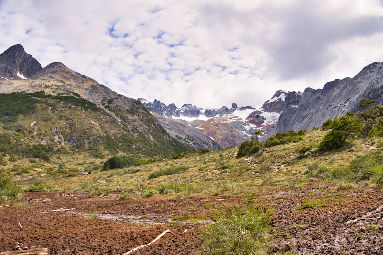 Laguna Esmeralda Peat Bog