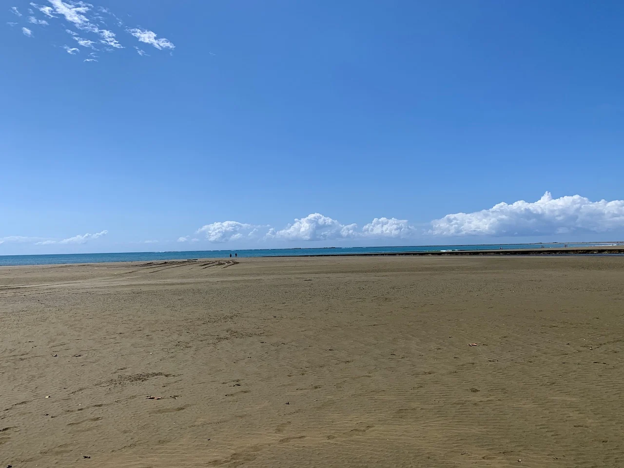 Marino Ballena National Park Beach