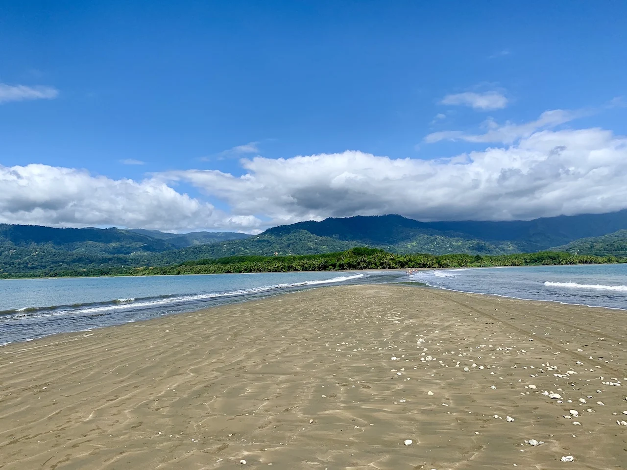 Marino Ballena National Park Whales Tail