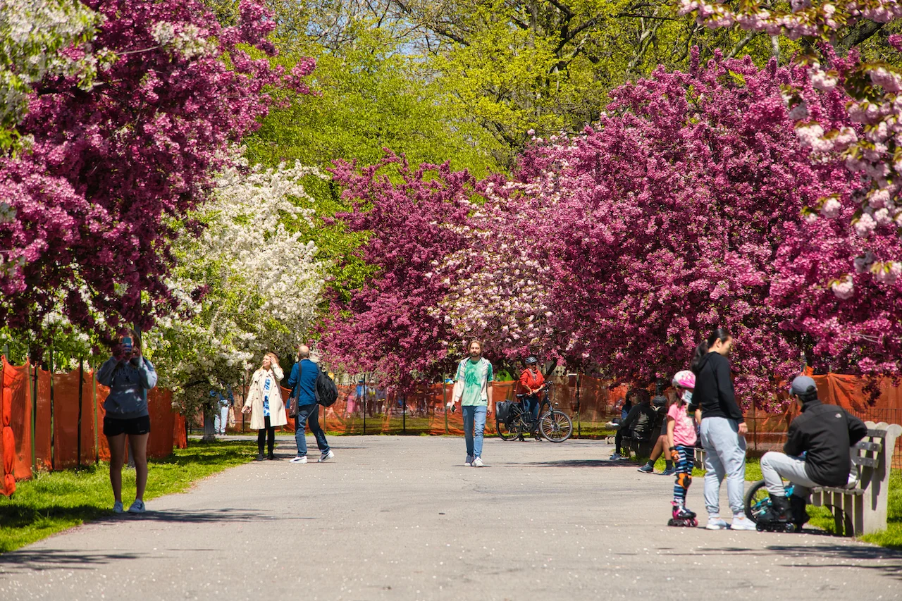 Riverside Park Spring Bloom