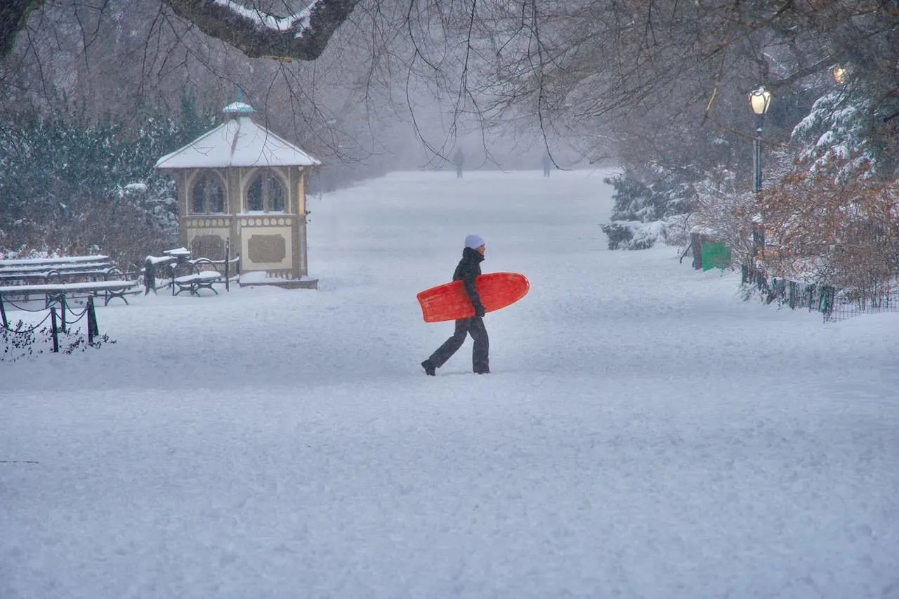 Sledding in Central Park