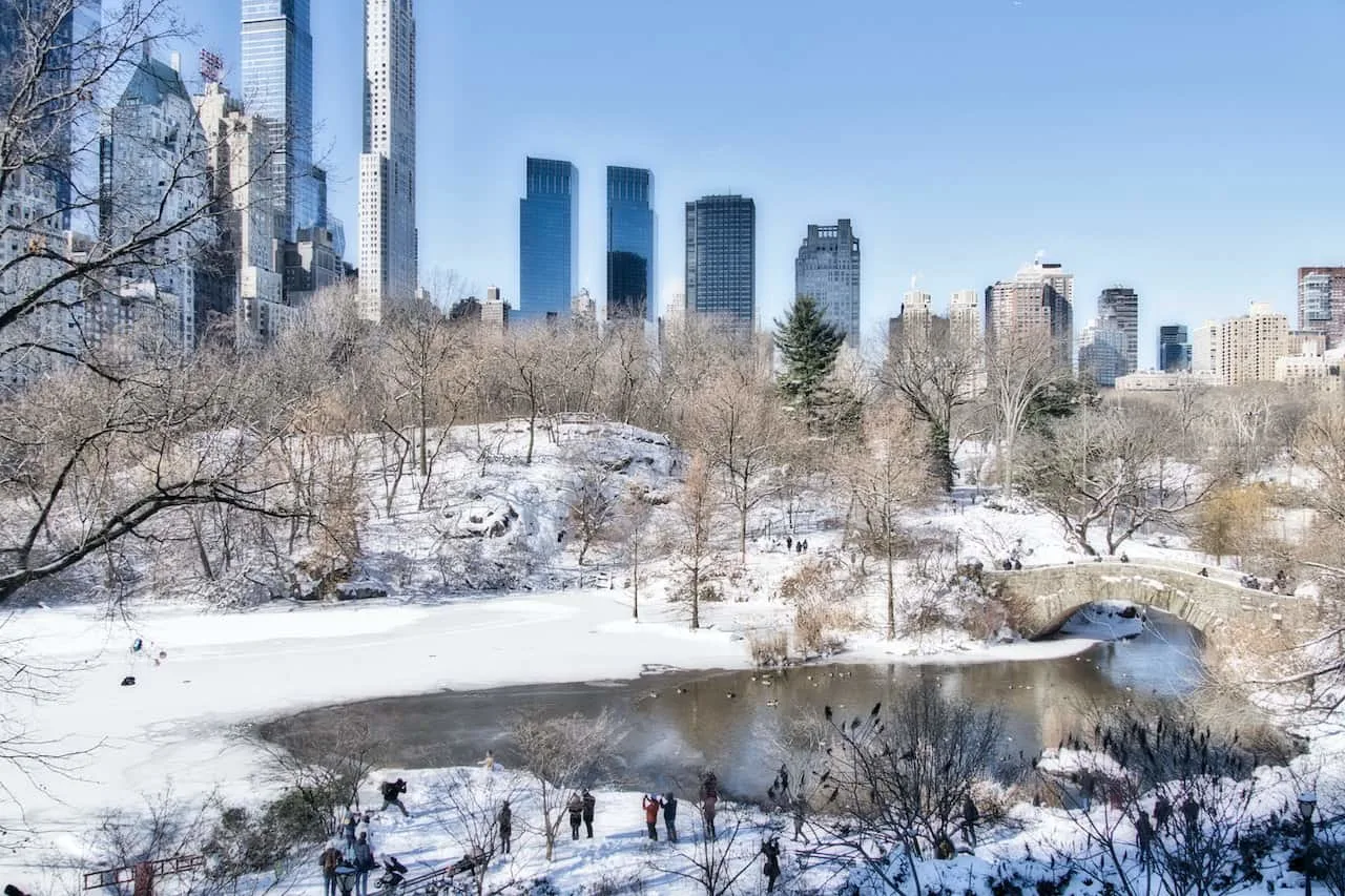 The Pond Central Park Frozen