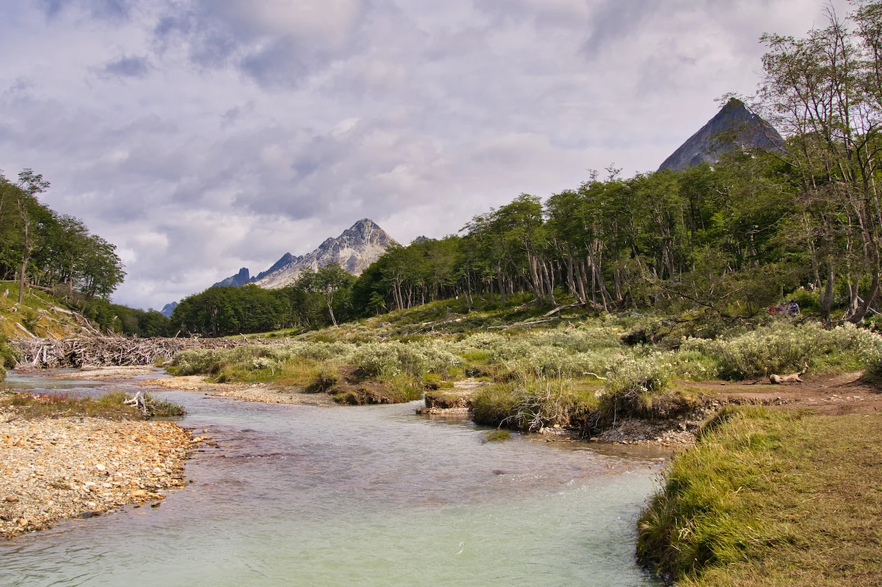 Tierra del Fuego River Hike
