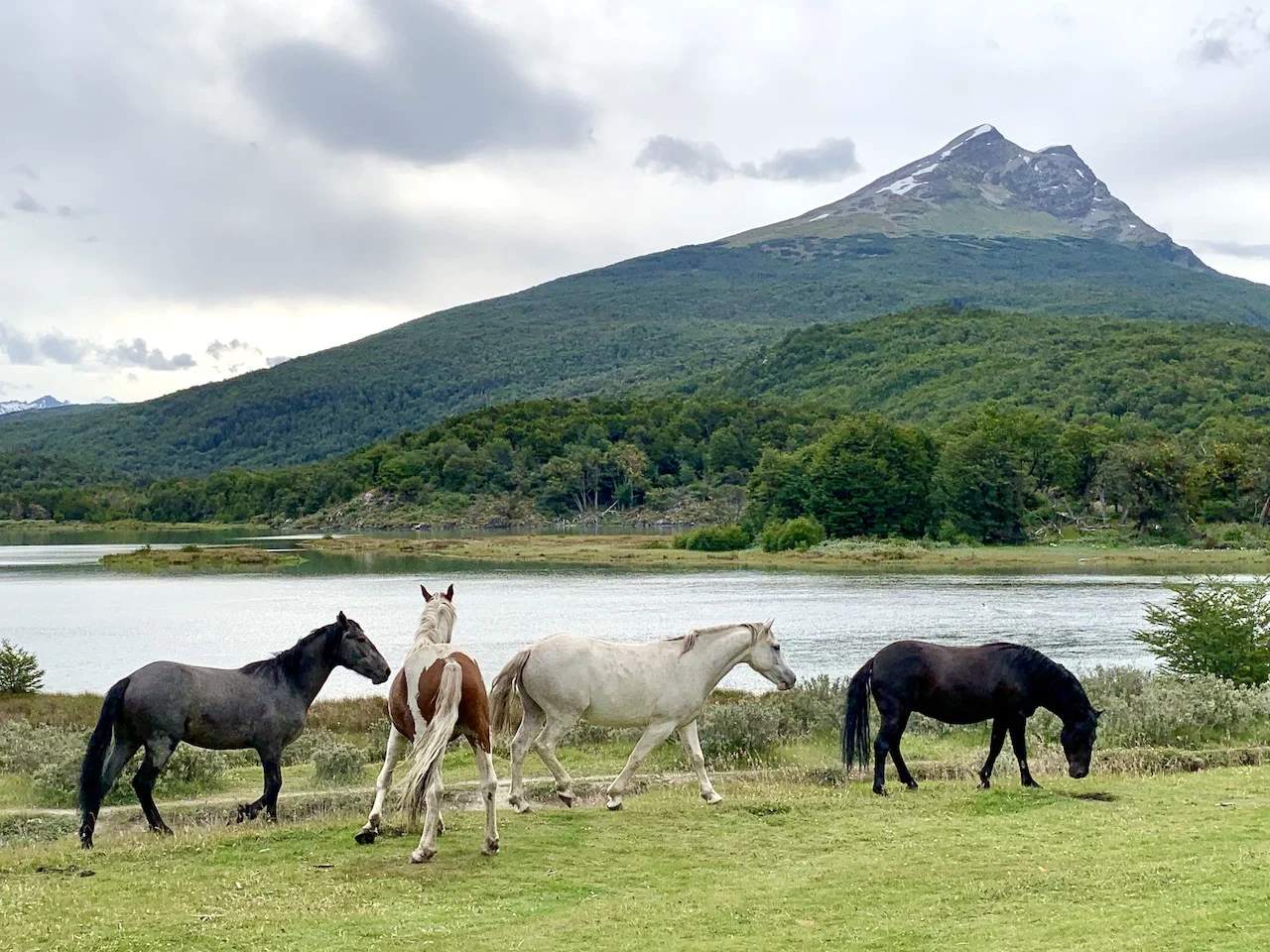 Trekking in Ushuaia