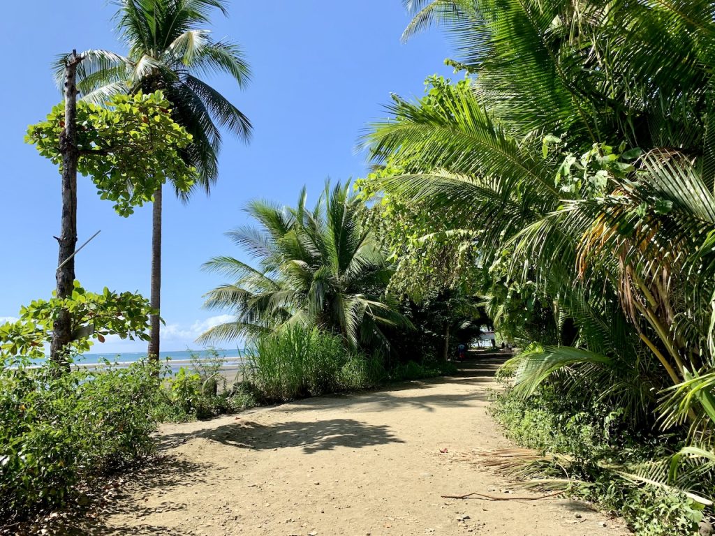 tropical beach hotel restaurant & bar uvita