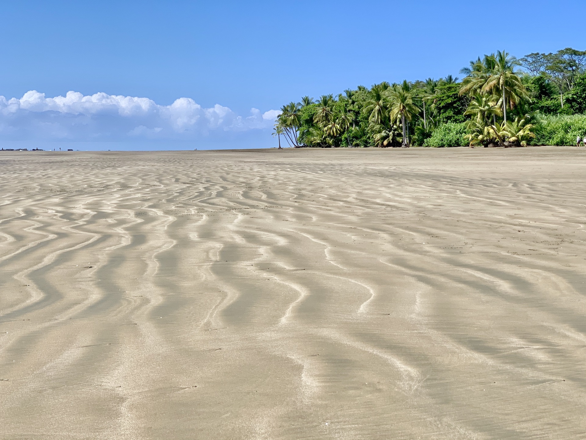 Visiting Uvita Beach of Costa Rica | Whales Tail Playa Uvita | TripTins