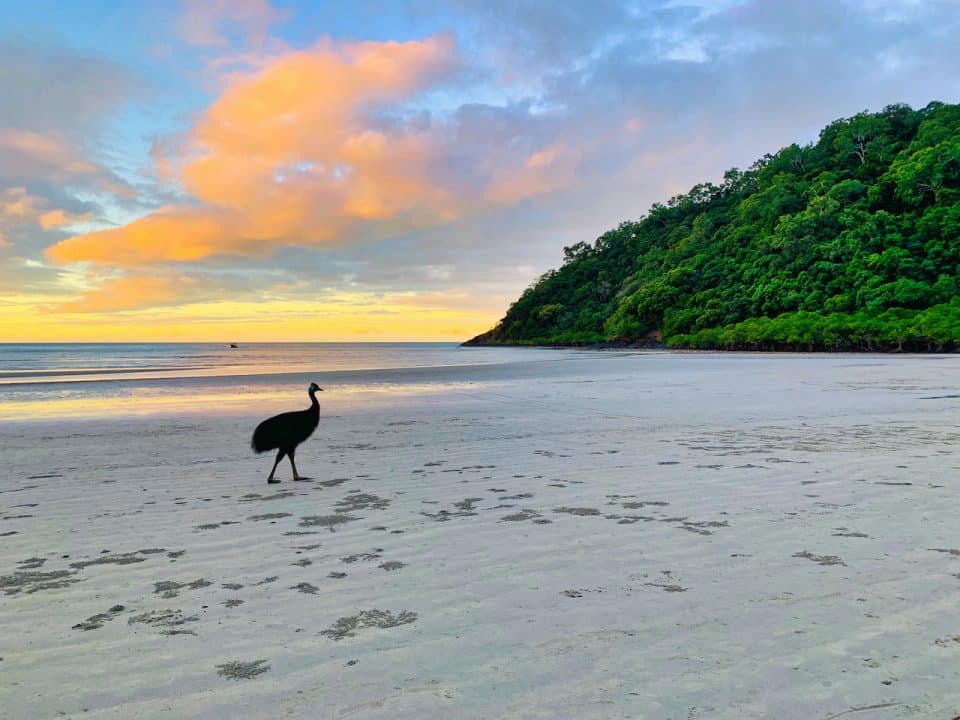 Best in the Daintree Top 10 Daintree Rainforest Hotels
