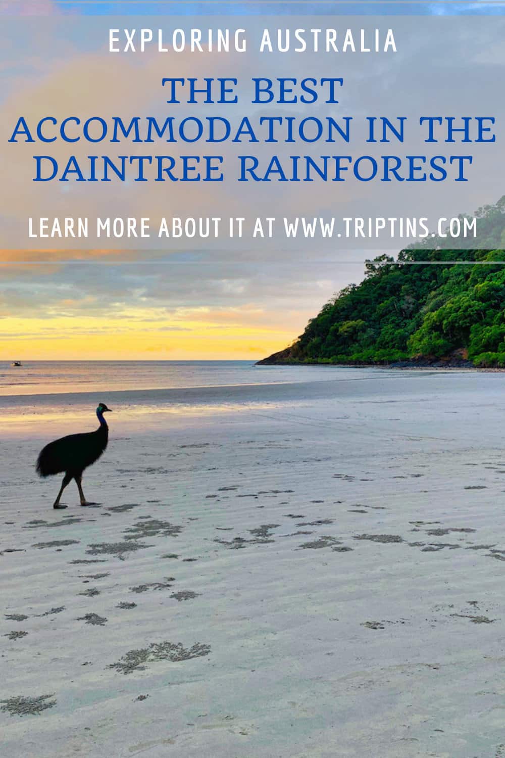 Best in the Daintree Top 10 Daintree Rainforest Hotels