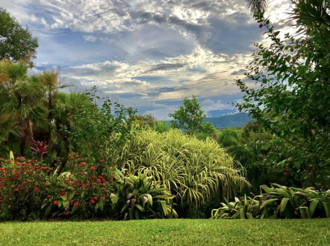 Best in the Daintree Top 10 Daintree Rainforest Hotels