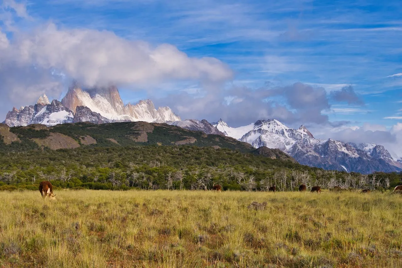 Fitz Roy Field Views