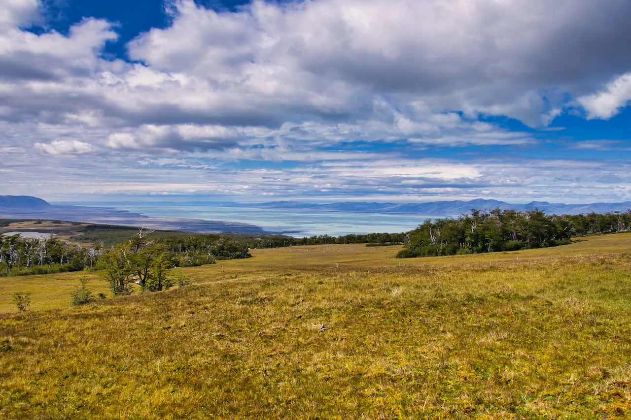 Lago Viedma Views