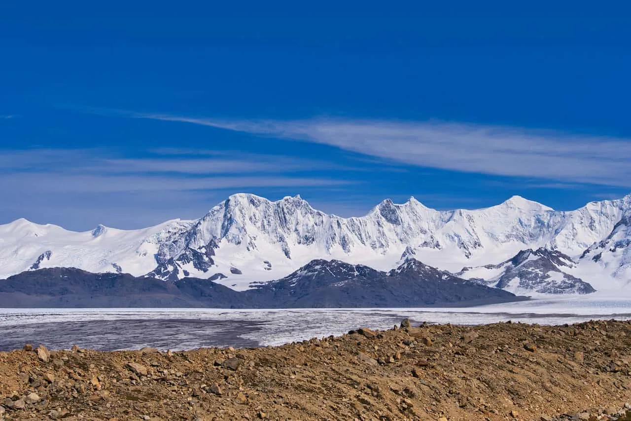 Patagonia Icefields Huemul