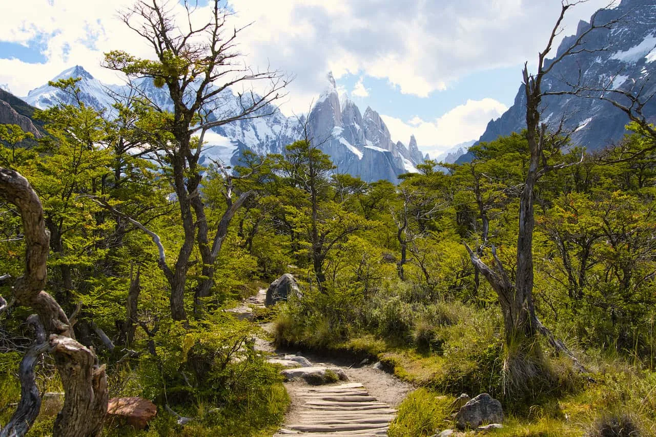 Laguna Torre Boardwalk