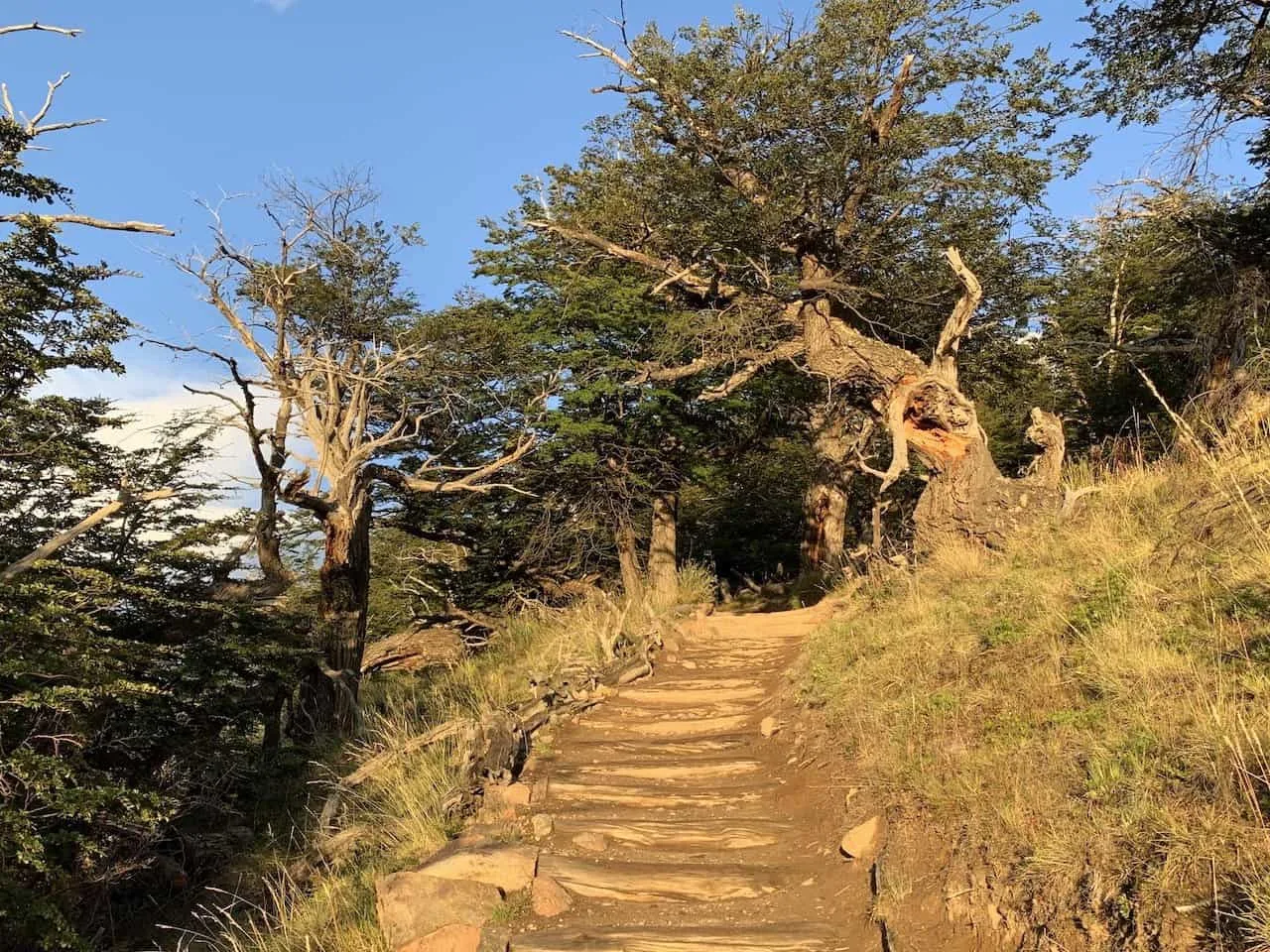 Laguna Torre Stairs