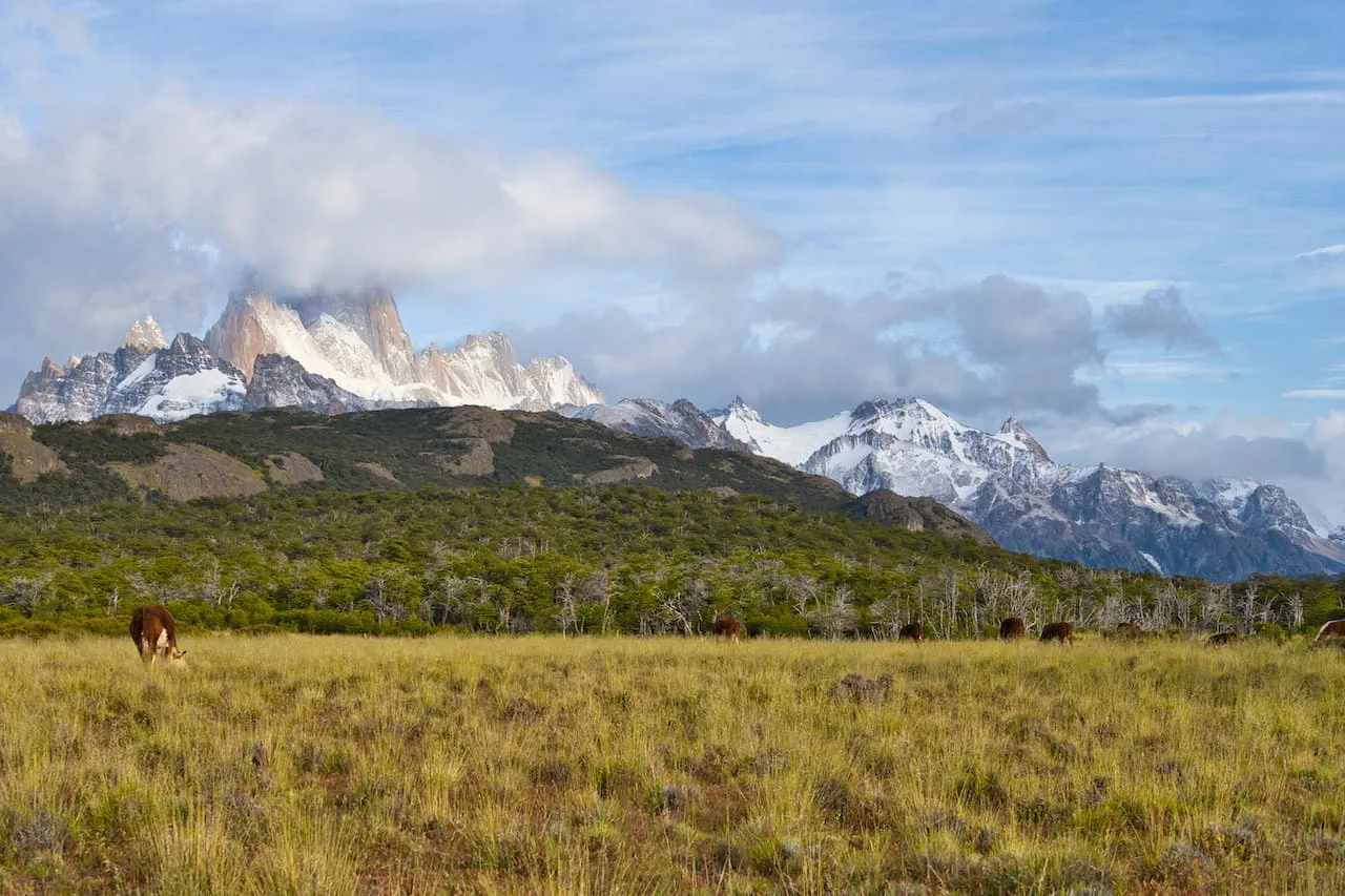 Loma del Pliegue Tumbado Fields