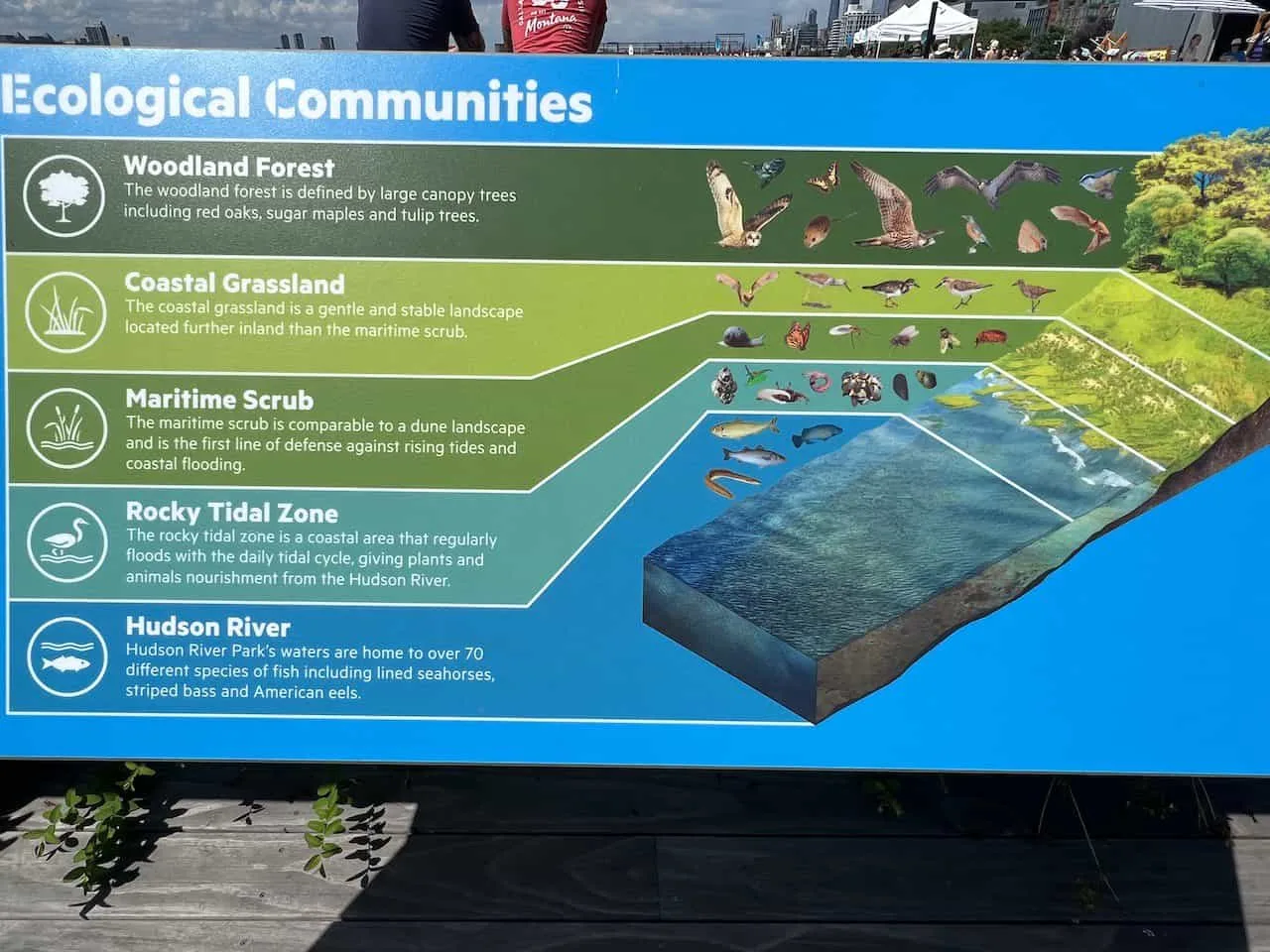 Pier 26 Ecological Communities