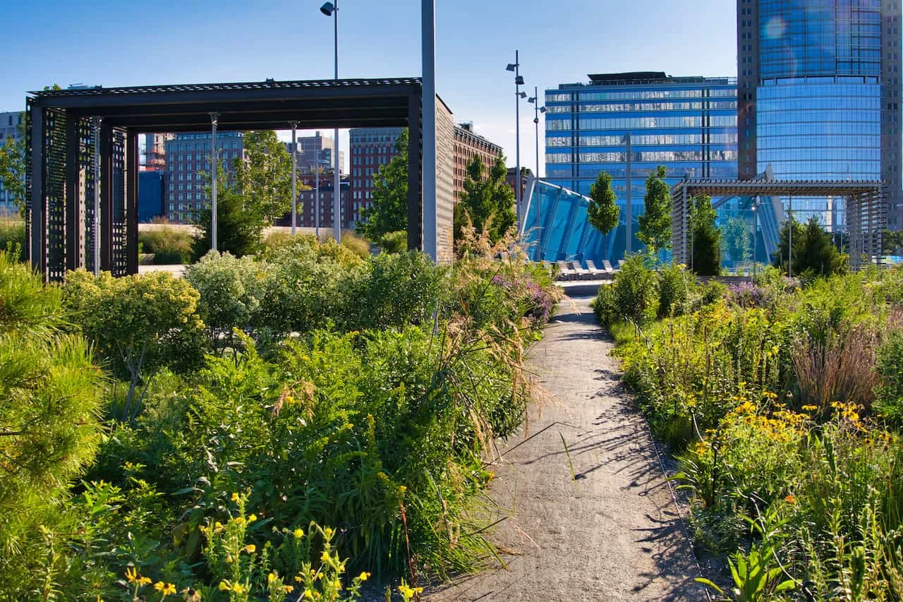 Pier 26 Plants and Flowers