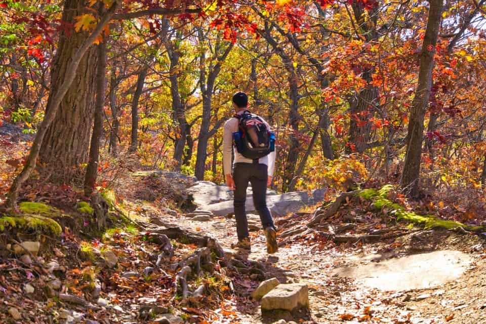 Hiking the Mt Beacon Trail of the - Beacon Mountain Fall Foliage 960x640