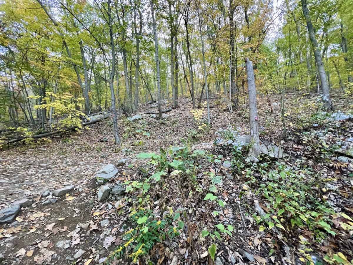 Hiking the Mt Beacon Trail of the - Beacon Mountain Switchbacks 1200x900