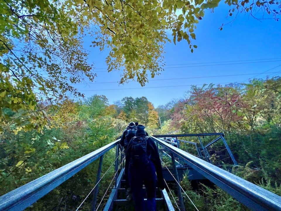 Hiking the Mt Beacon Trail of the - Mount Beacon Stairs 960x720