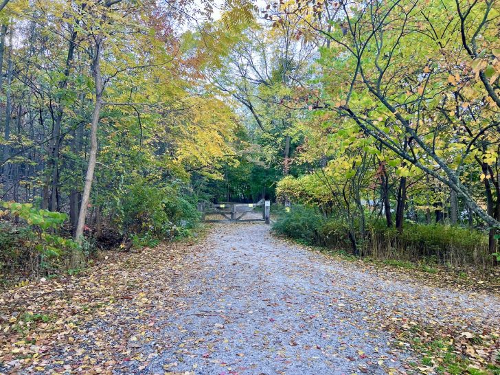 Hiking the Mt Beacon Trail of the - Mt Beacon Trailhead 728x546