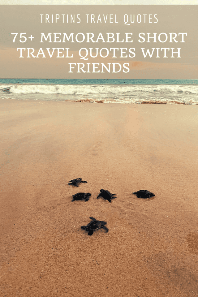 75-memorable-short-travel-quotes-with-friends-triptins