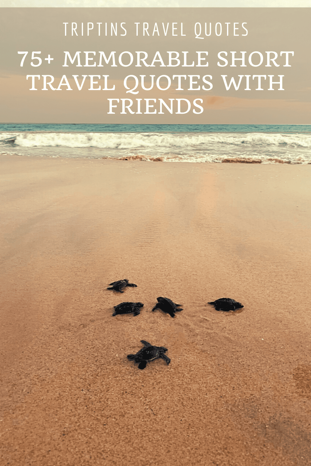 Short Travel Quotes for Friends