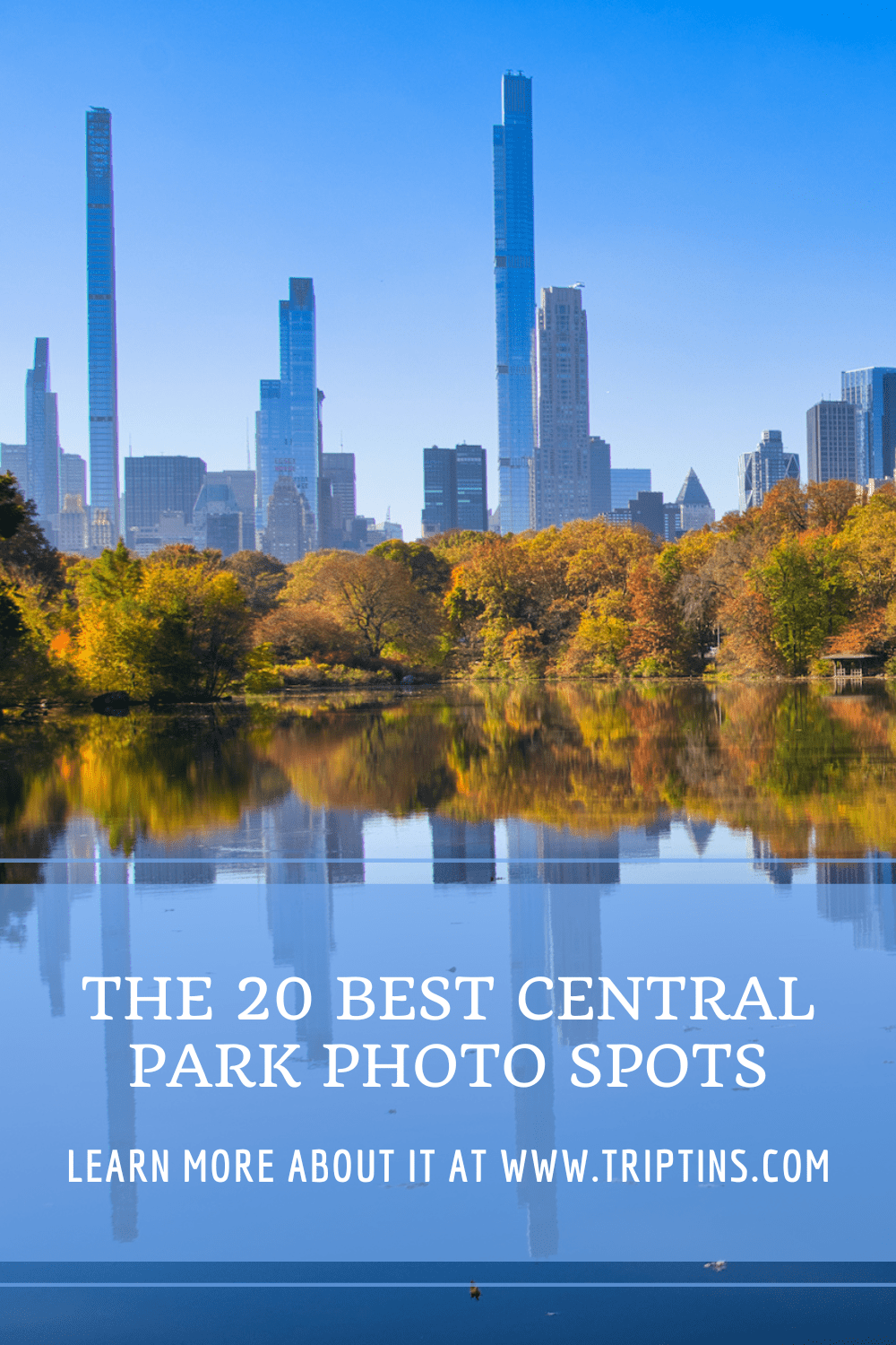 Best Central Park Photo Spots