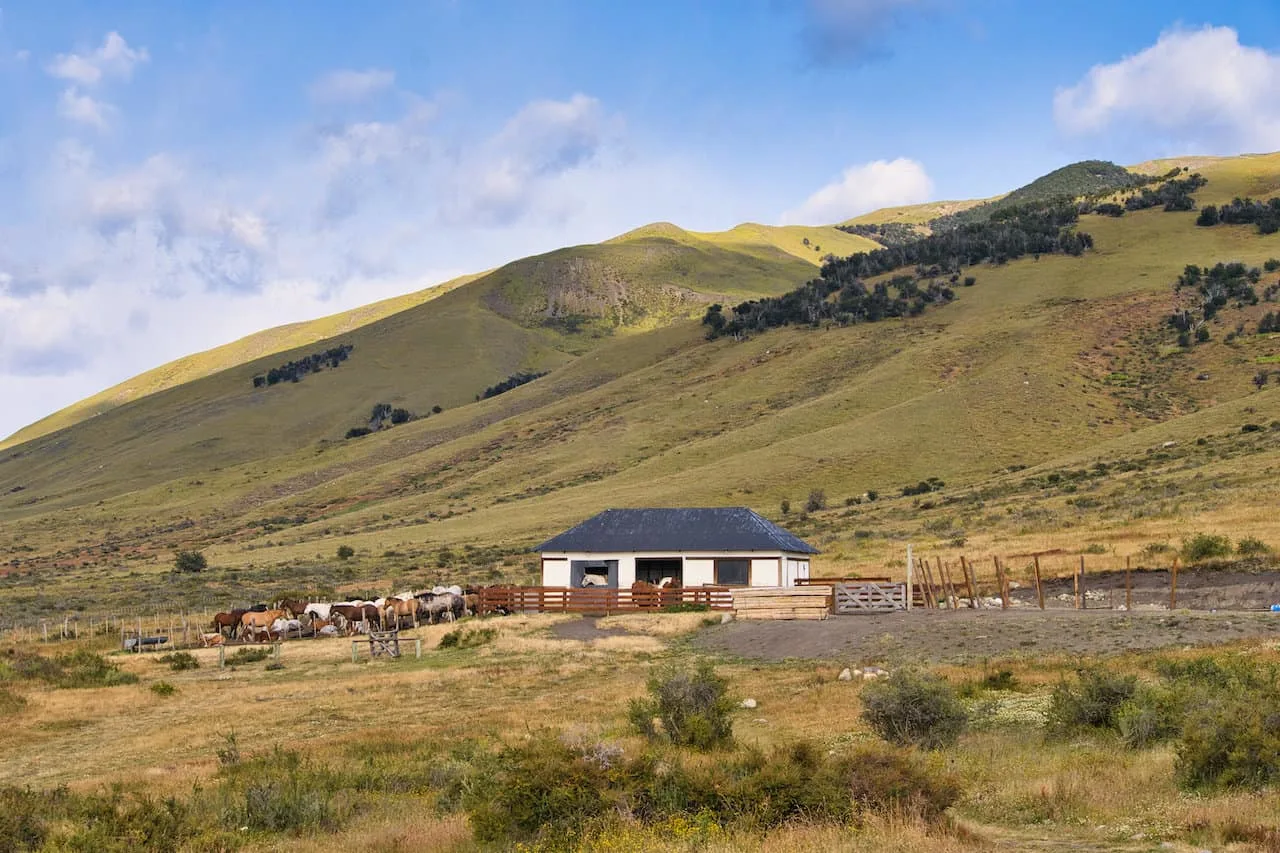 Cerro Frias Horseback Riding